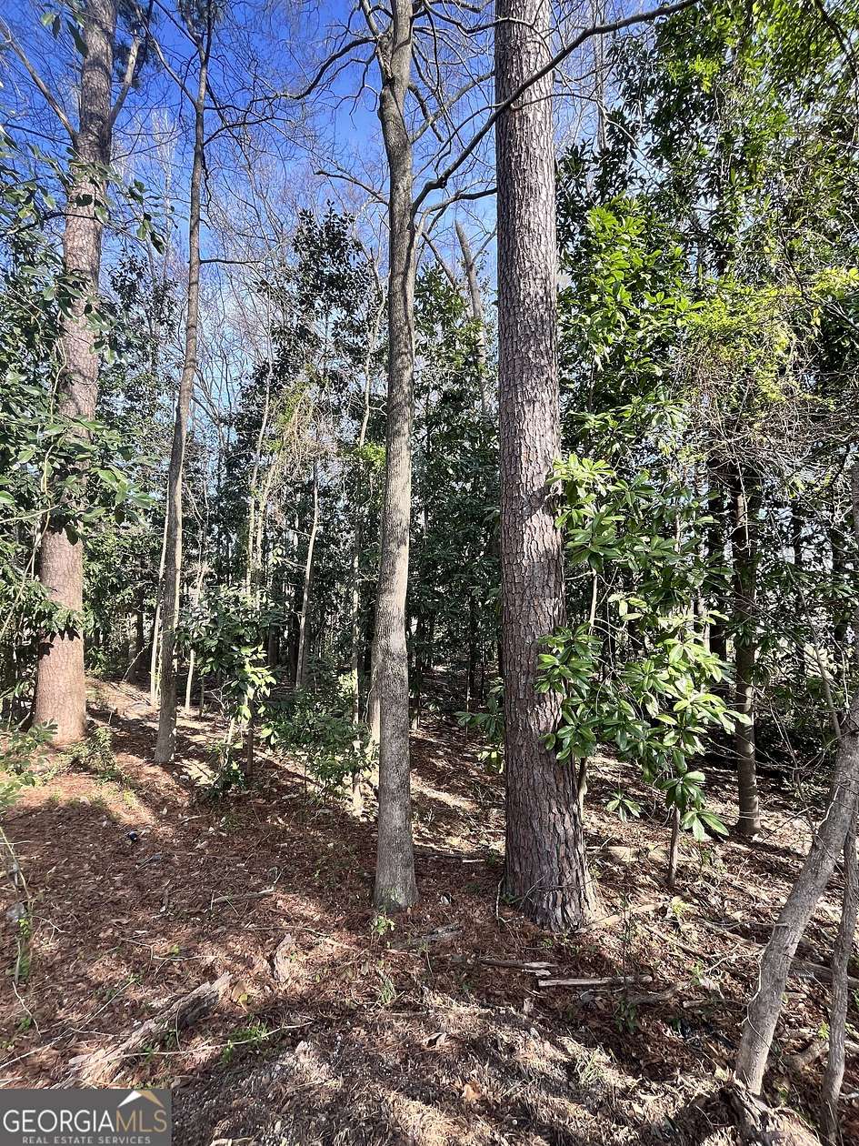 1.5 Acres of Land for Sale in Manchester, Georgia