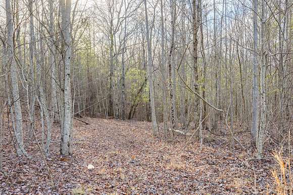 1.7 Acres of Residential Land for Sale in Jasper, Tennessee