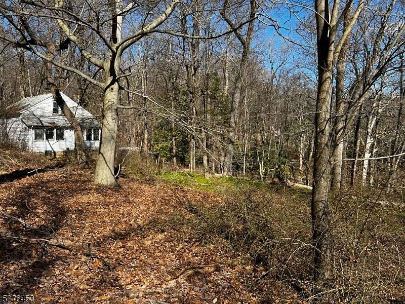 15.2 Acres of Land with Home for Sale in Bernardsville, New Jersey