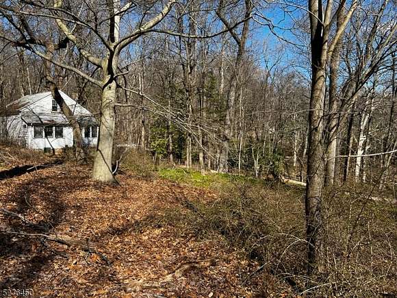 15.2 Acres of Land with Home for Sale in Bernardsville, New Jersey