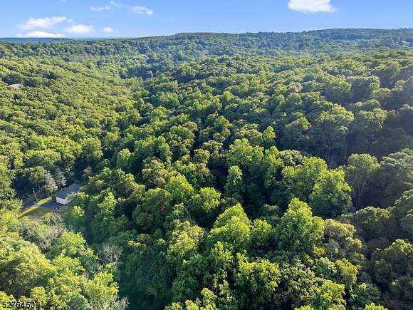15.22 Acres of Land with Home for Sale in Bernardsville, New Jersey