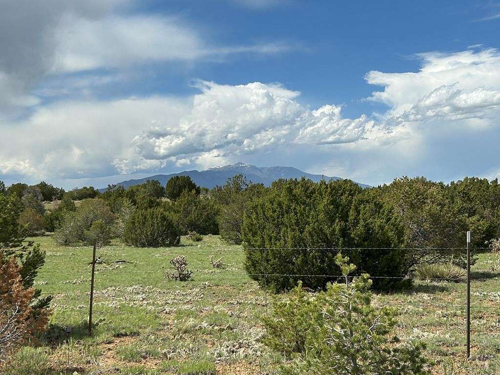 40 Acres of Land for Sale in Walsenburg, Colorado