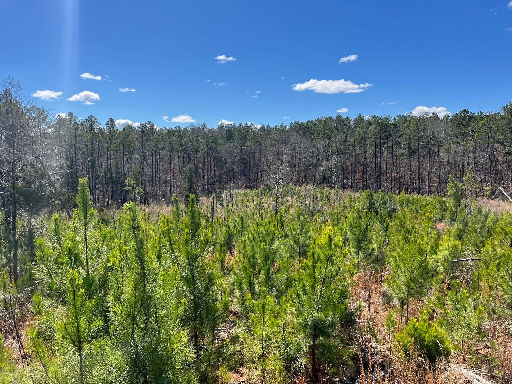 31.4 Acres of Recreational Land for Sale in Elberton, Georgia
