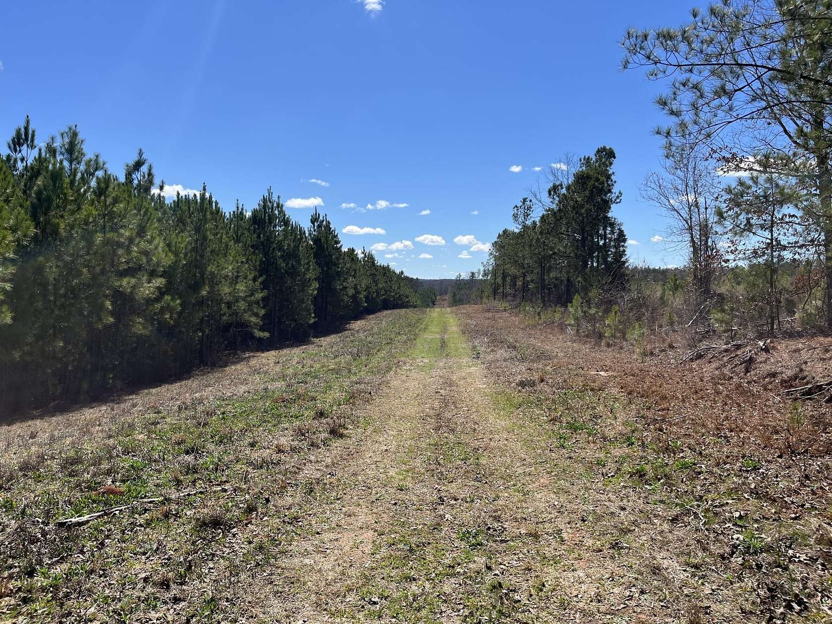 36.2 Acres of Recreational Land for Sale in Elberton, Georgia