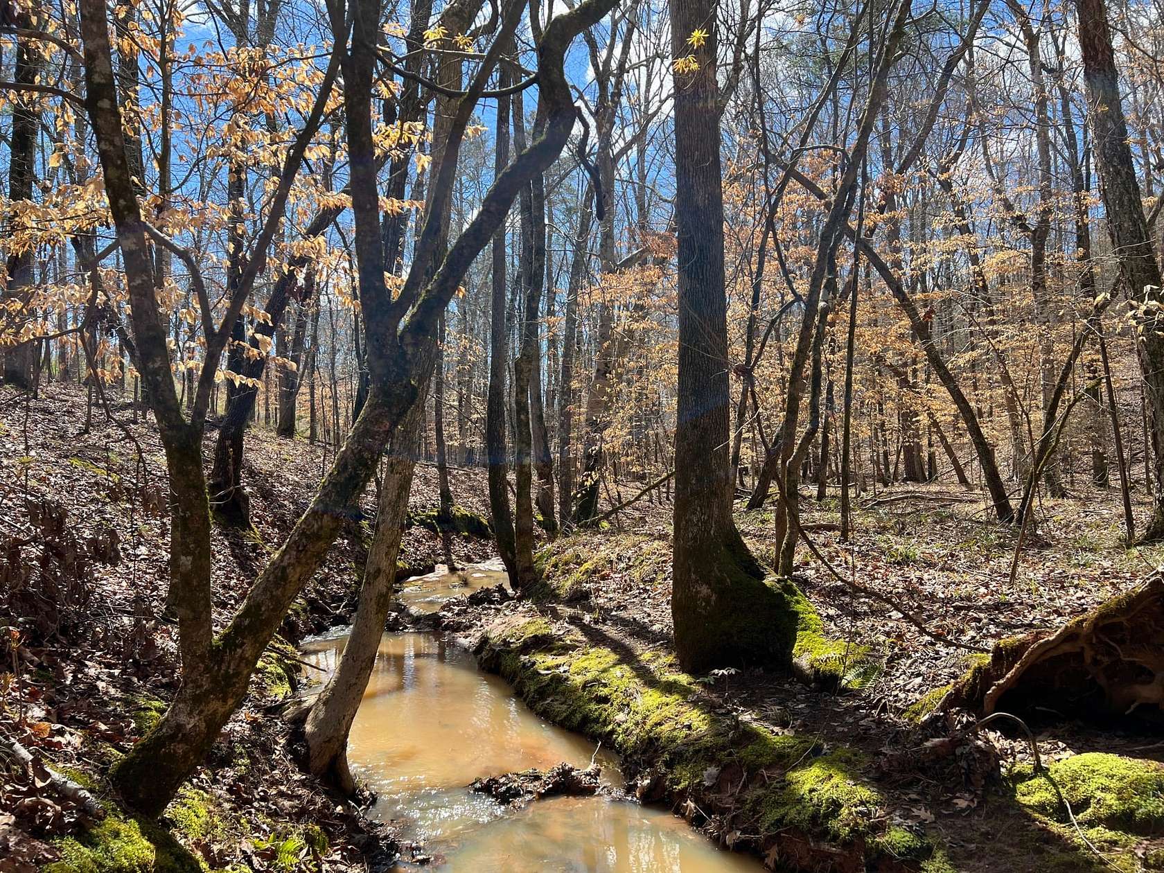 18.9 Acres of Recreational Land for Sale in Elberton, Georgia