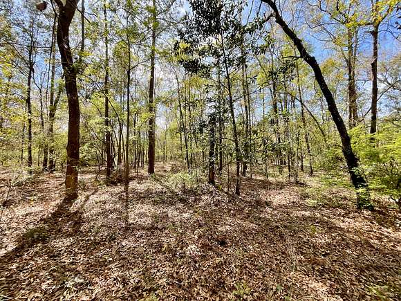 12.25 Acres of Recreational Land for Sale in Pinetta, Florida