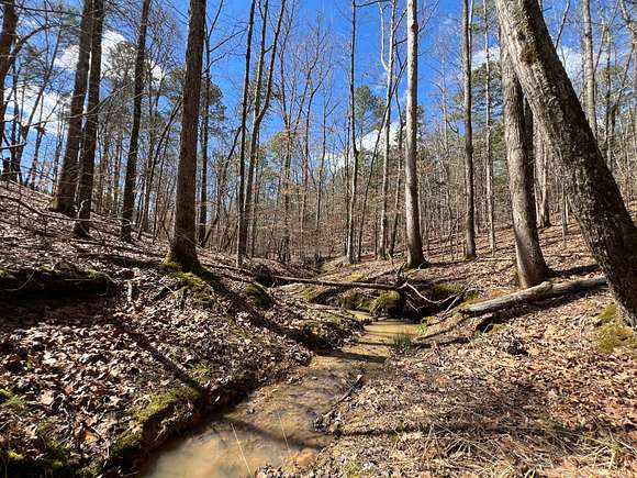 39.9 Acres of Recreational Land for Sale in Elberton, Georgia