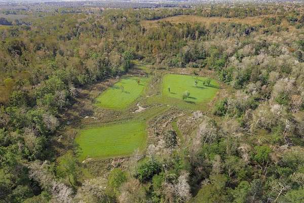 463 Acres of Land for Sale in Greensburg, Louisiana