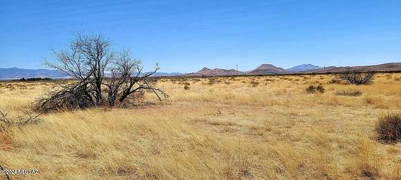 36.9 Acres of Land for Sale in Elfrida, Arizona