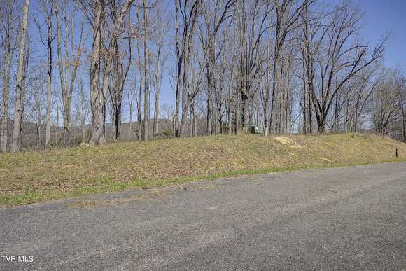 1.19 Acres of Residential Land for Sale in Butler, Tennessee