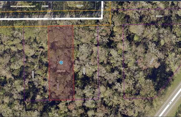 0.46 Acres of Residential Land for Sale in Astor, Florida