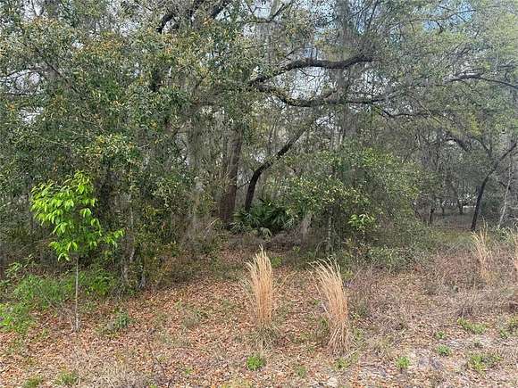 0.74 Acres of Land for Sale in Dunnellon, Florida