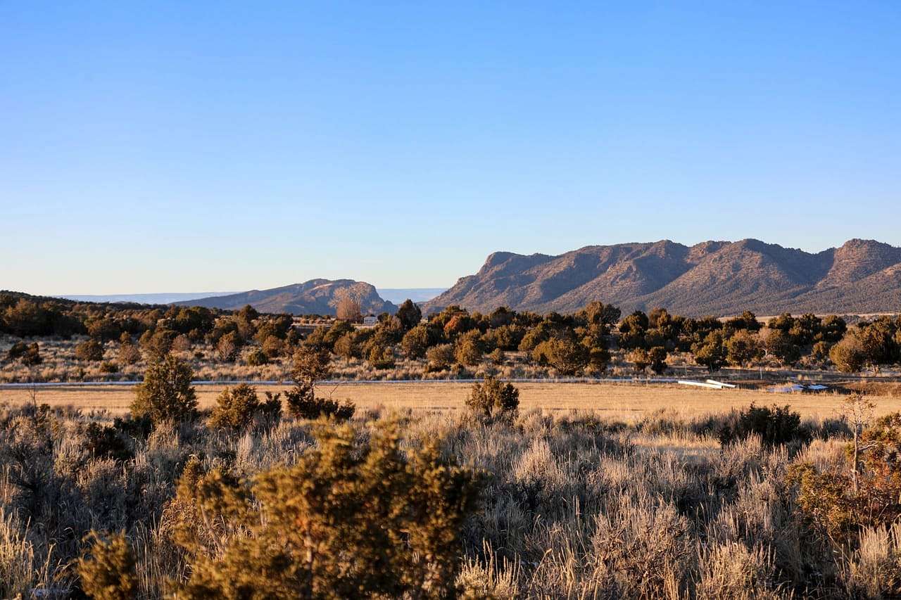 53.9 Acres of Recreational Land & Farm for Sale in Montrose, Colorado
