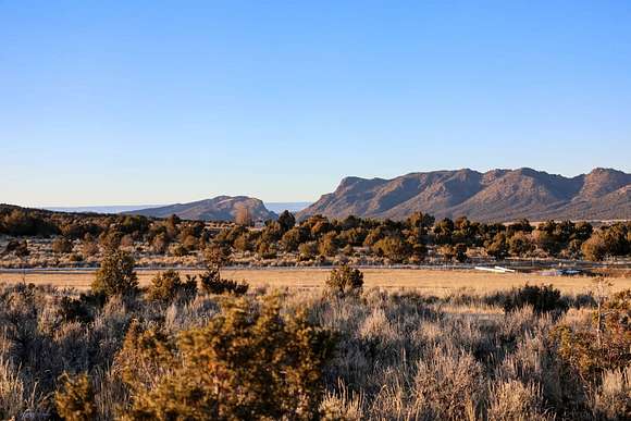 53.9 Acres of Recreational Land & Farm for Sale in Montrose, Colorado