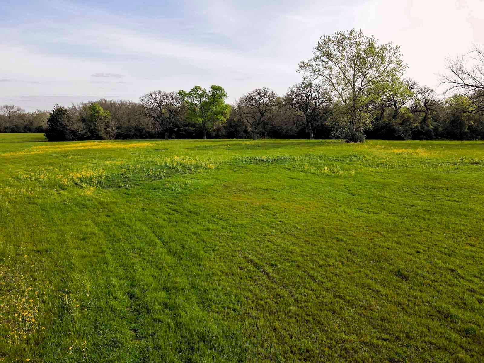 103 Acres of Recreational Land & Farm for Sale in Wheelock, Texas
