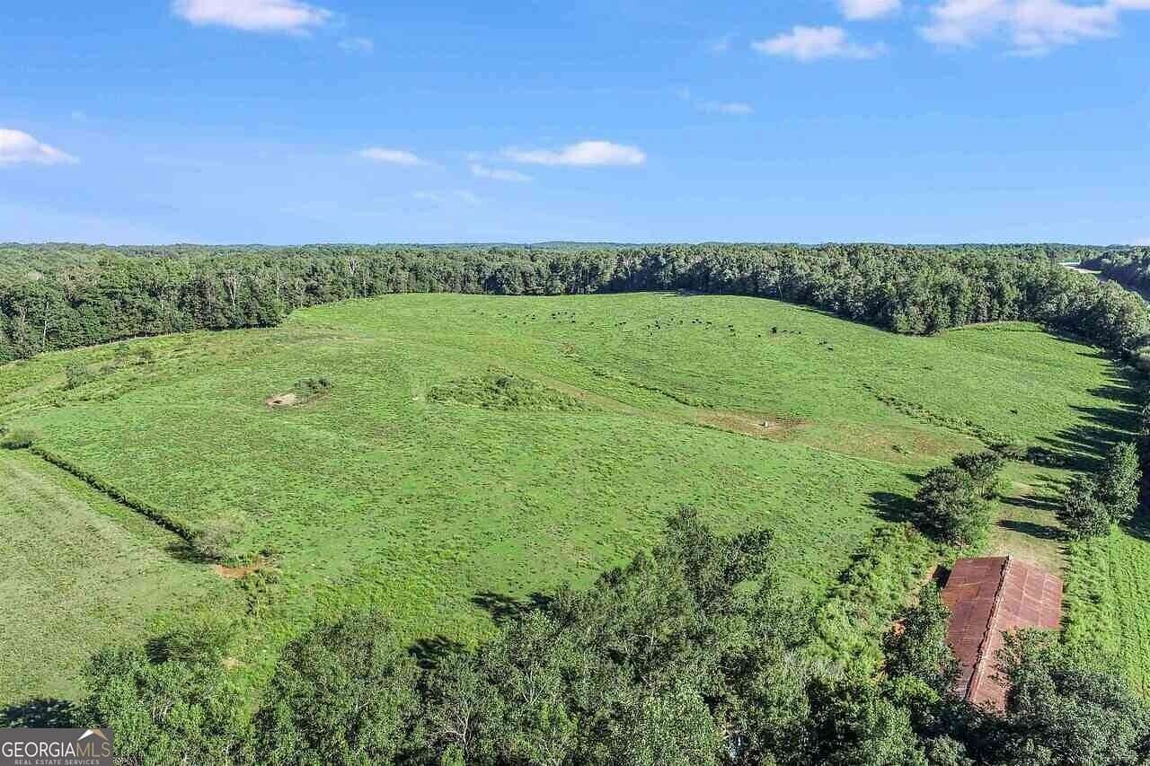 61.9 Acres of Land for Sale in Mount Airy, Georgia
