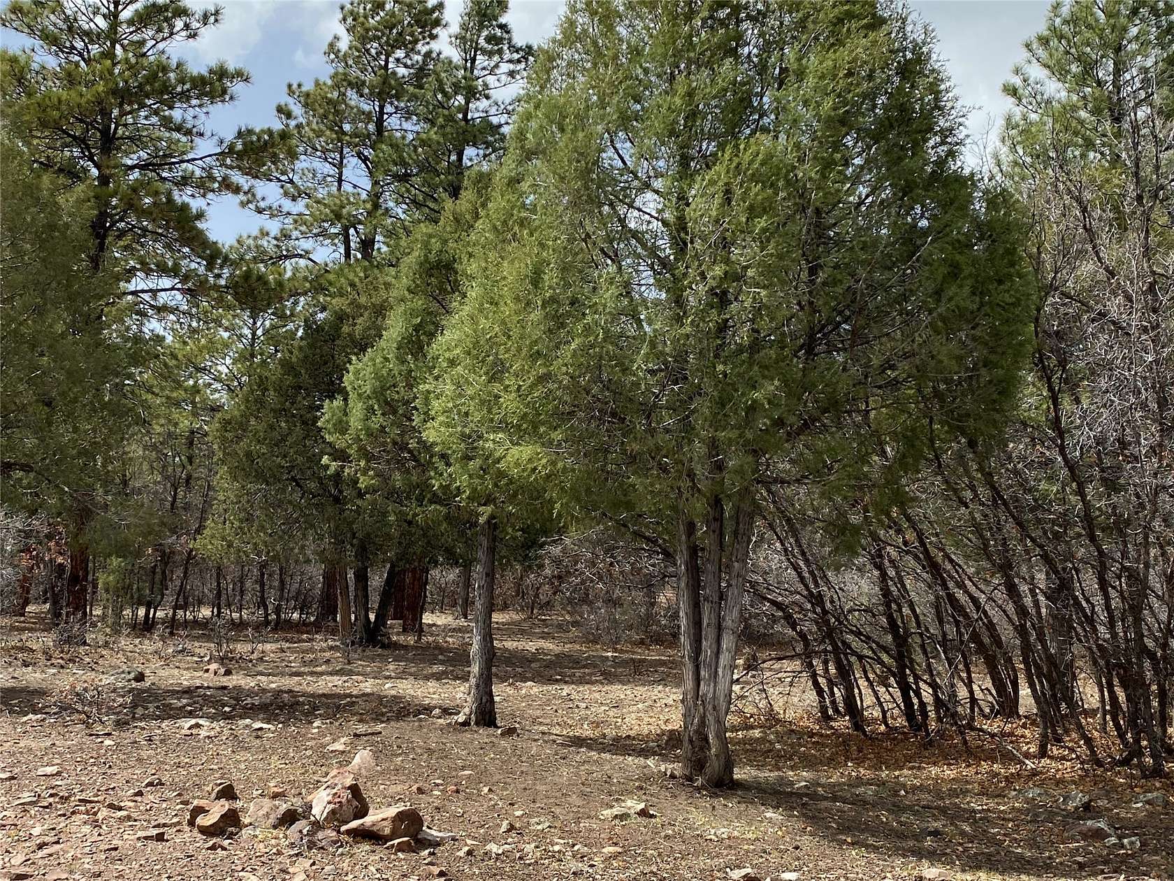 1.1 Acres of Residential Land for Sale in Chama, New Mexico