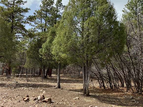 1.07 Acres of Residential Land for Sale in Chama, New Mexico