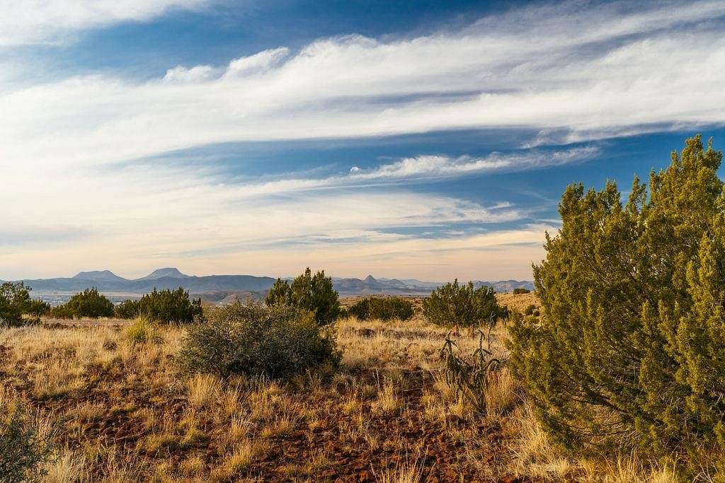 15.5 Acres of Land for Sale in Alpine, Texas