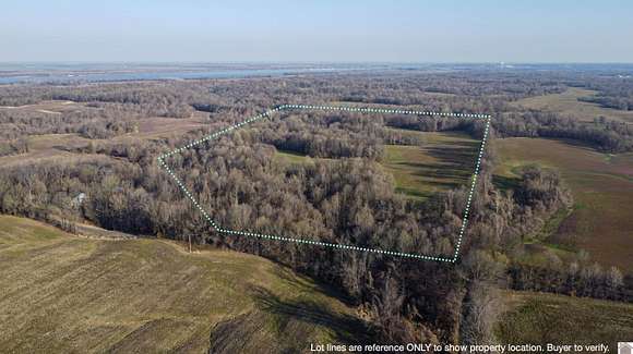 64.3 Acres of Land for Sale in Bardwell, Kentucky