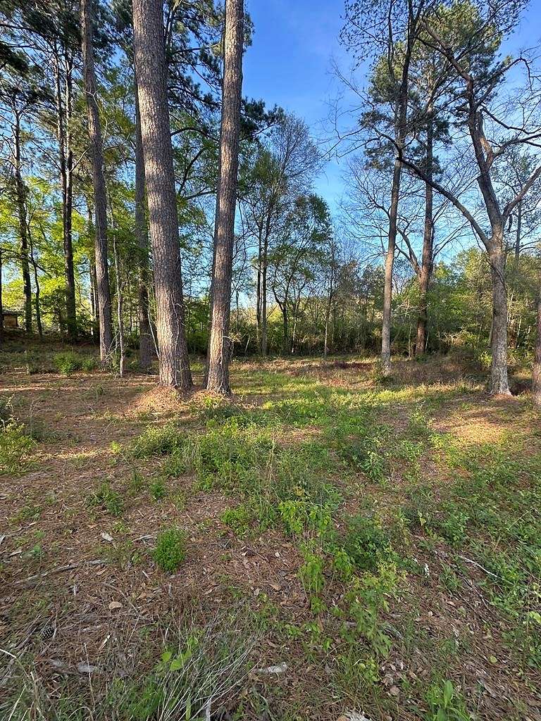 0.5 Acres of Land for Sale in Center, Texas