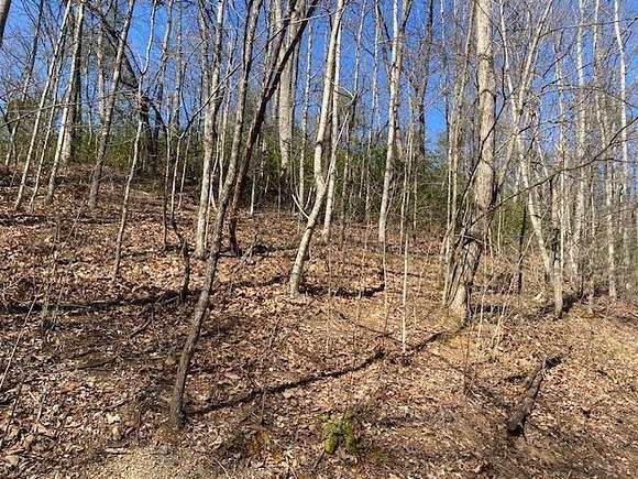 0.88 Acres of Residential Land for Sale in Sevierville, Tennessee