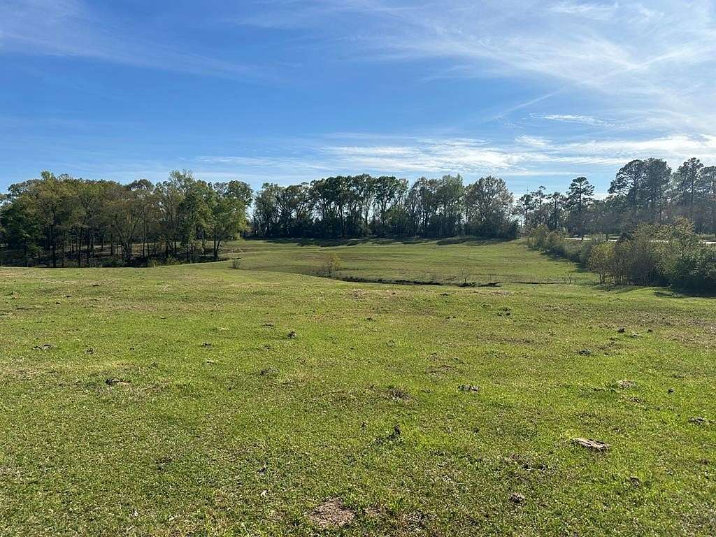 376 Acres of Agricultural Land for Sale in Brundidge, Alabama
