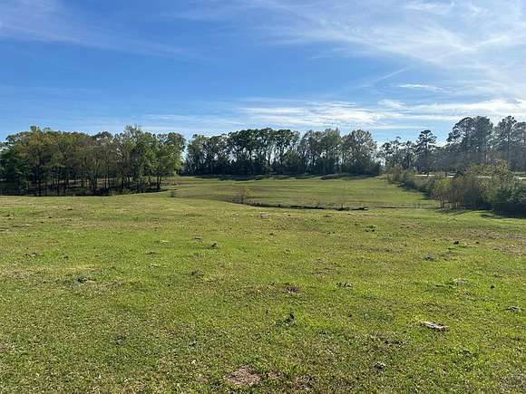 376 Acres of Land for Sale in Brundidge, Alabama