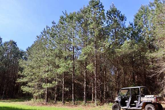 37 Acres of Land for Sale in Banks, Alabama