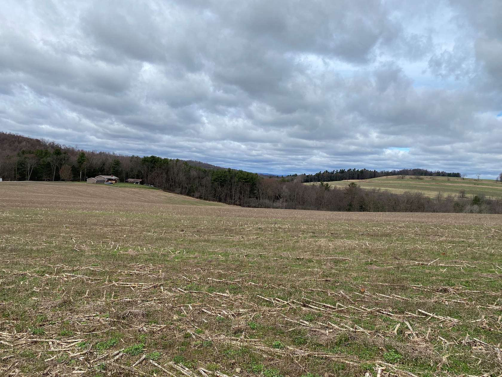 18 Acres of Recreational Land & Farm for Sale in Cherry Tree, Pennsylvania