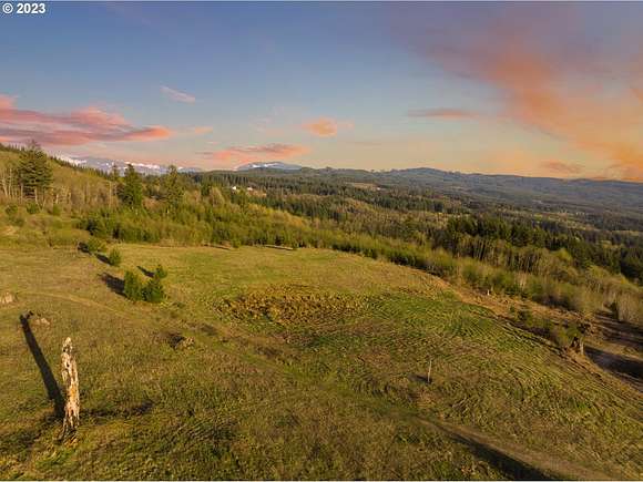 20 Acres of Land for Sale in Battle Ground, Washington
