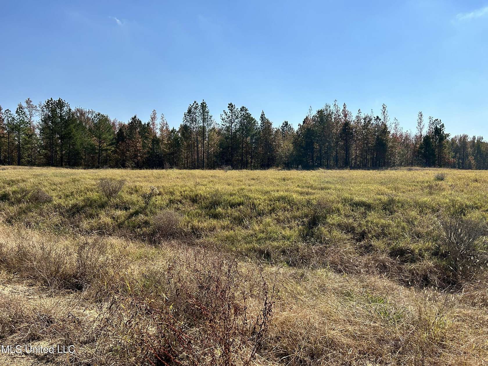 2.04 Acres of Land for Sale in Lake Cormorant, Mississippi