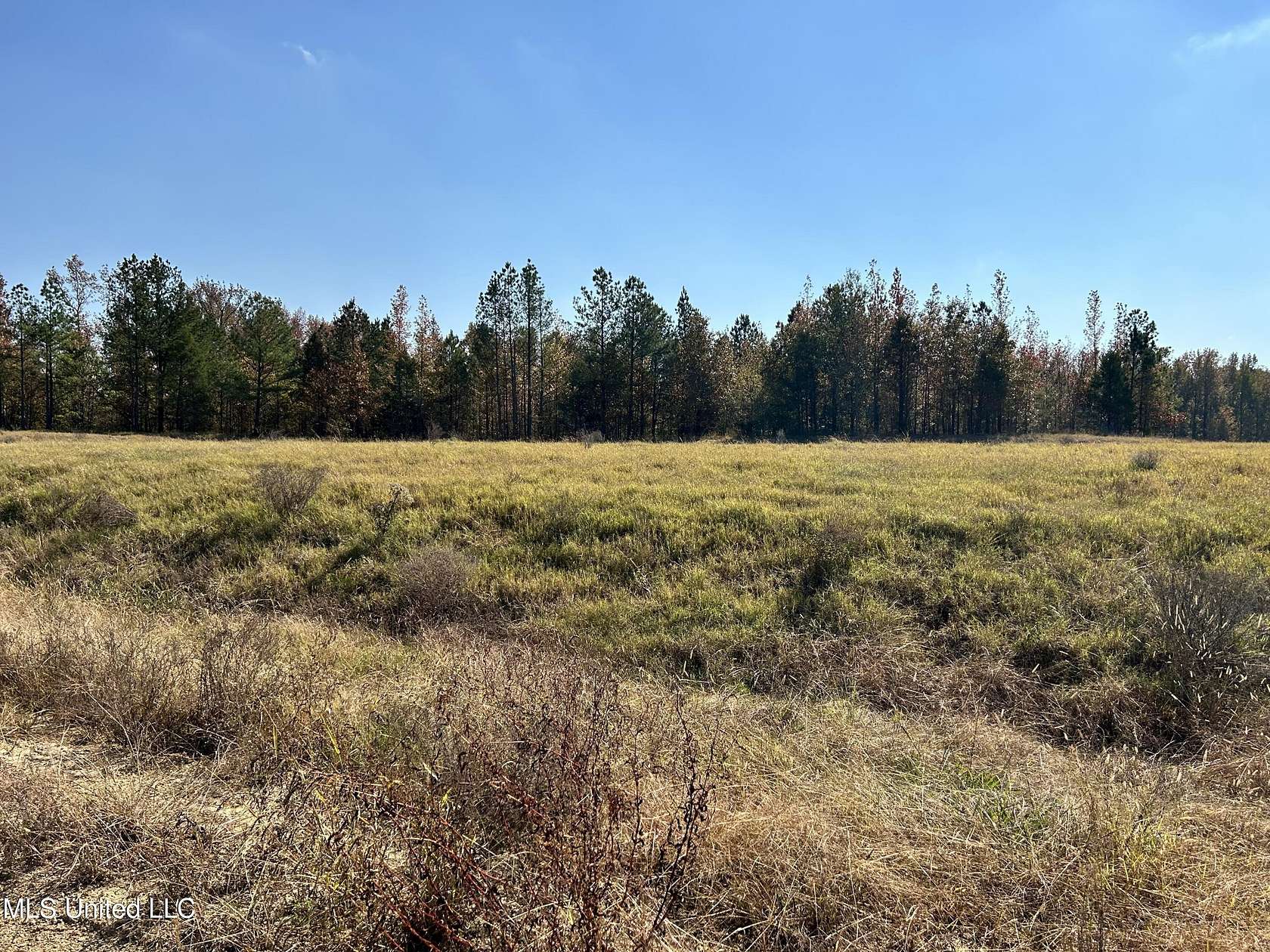 2 Acres of Land for Sale in Lake Cormorant, Mississippi