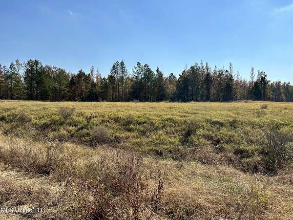 2 Acres of Land for Sale in Lake Cormorant, Mississippi