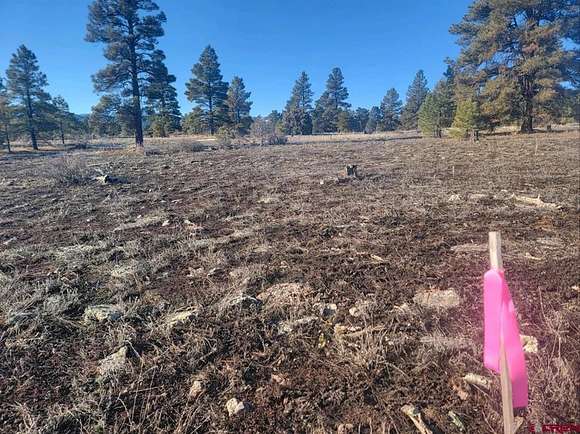 0.45 Acres of Residential Land for Sale in Pagosa Springs, Colorado