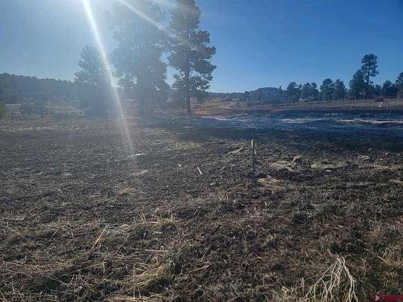 0.45 Acres of Residential Land for Sale in Pagosa Springs, Colorado