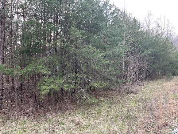 6.22 Acres of Residential Land for Sale in Wilder, Tennessee