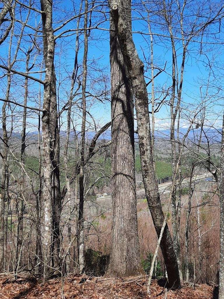 2.3 Acres of Residential Land for Sale in Murphy, North Carolina