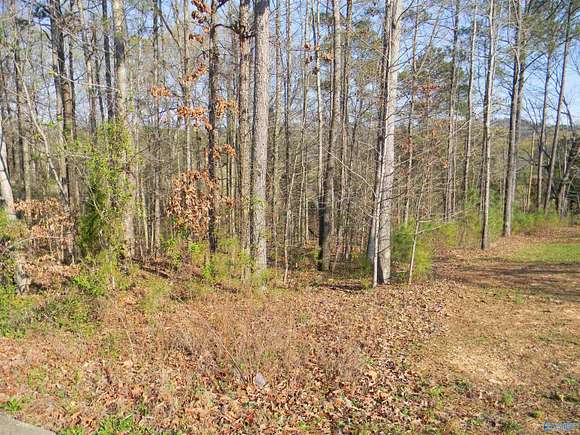 0.36 Acres of Land for Sale in Leesburg, Alabama