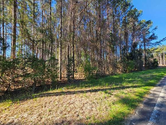 2.5 Acres of Residential Land for Sale in St. Matthews, South Carolina