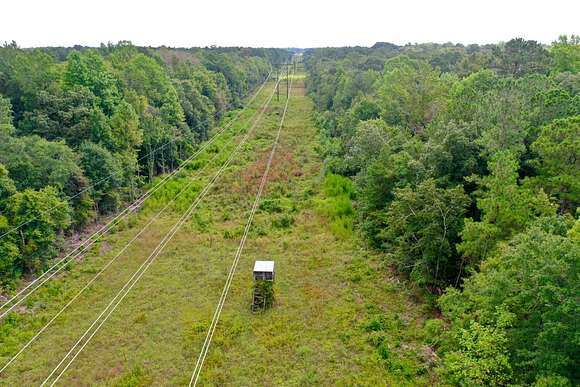 54 Acres of Recreational Land for Sale in Kinston, North Carolina