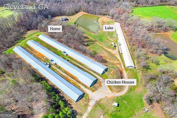 23.3 Acres of Agricultural Land with Home for Sale in Cleveland, Georgia