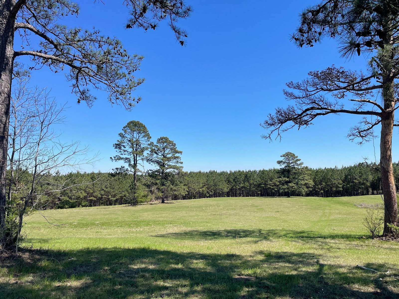 7 Acres of Residential Land for Sale in Thomasville, Alabama