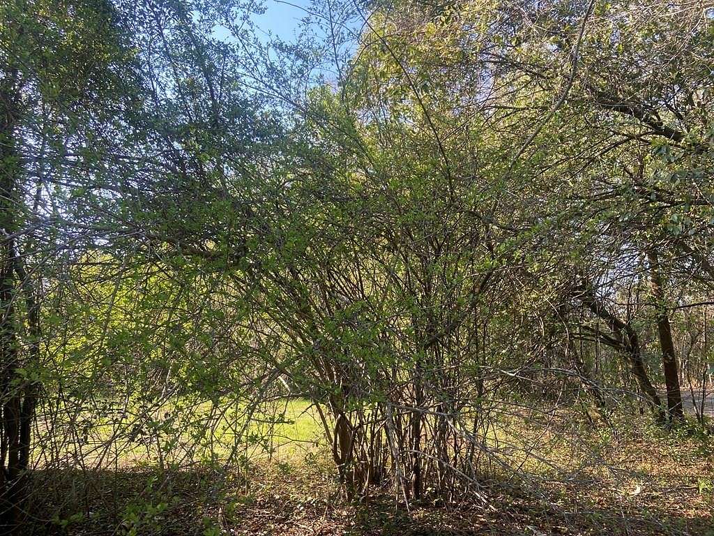 0.3 Acres of Residential Land for Sale in Sumter, South Carolina