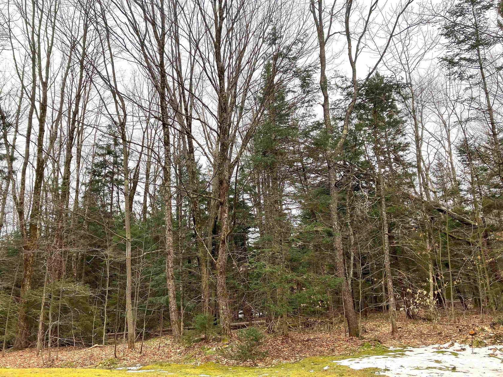 0.5 Acres of Residential Land for Sale in Wilmington, Vermont