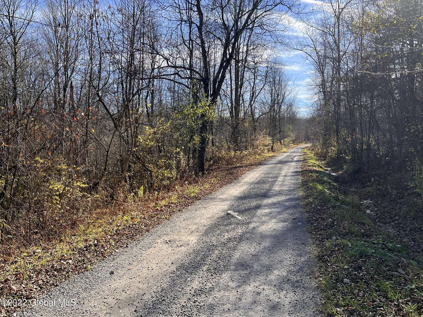 57 Acres of Recreational Land for Sale in Berne, New York