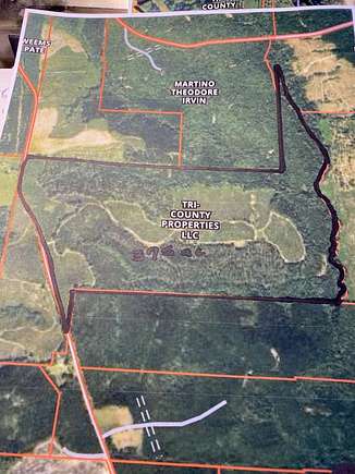 373 Acres of Recreational Land for Sale in Abbeville, Alabama