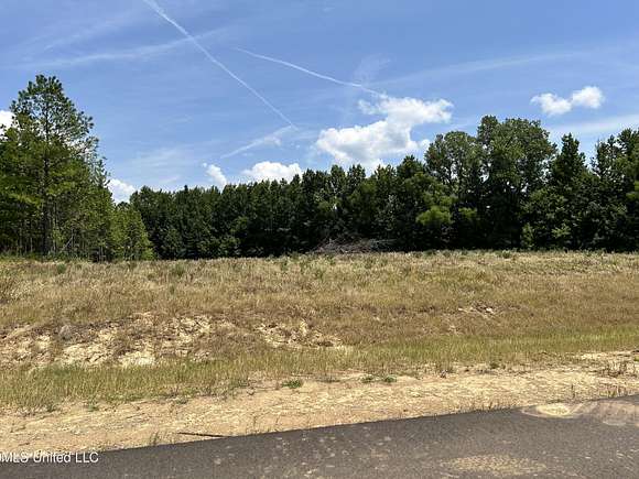 1.72 Acres of Land for Sale in Lake Cormorant, Mississippi