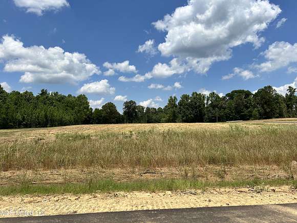 2 Acres of Land for Sale in Lake Cormorant, Mississippi