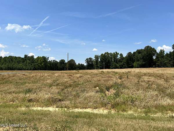 2.1 Acres of Land for Sale in Lake Cormorant, Mississippi